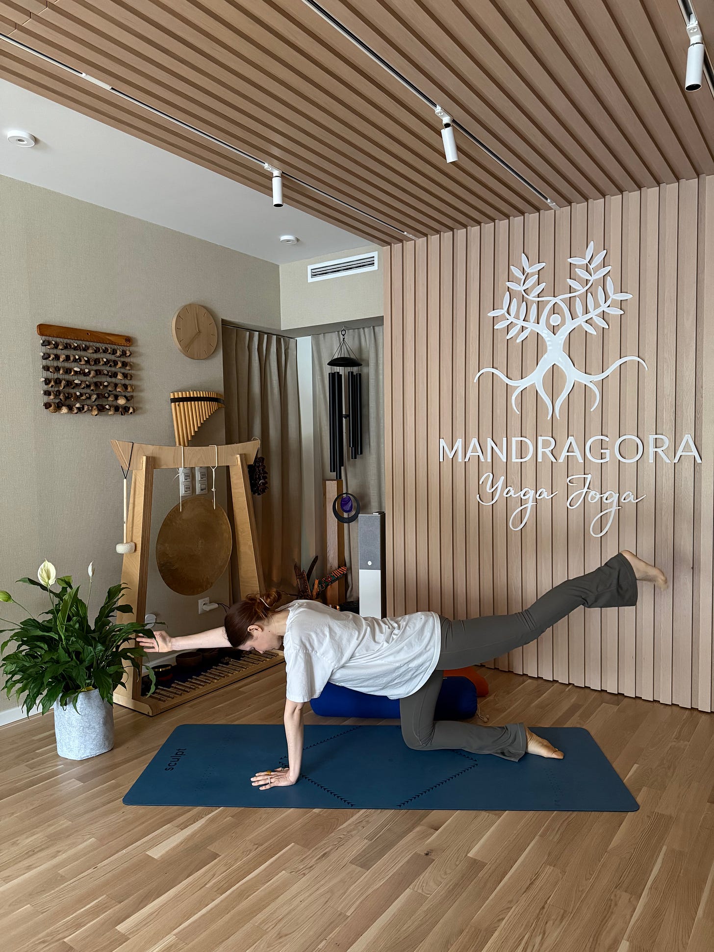 Joga 5 - Minut Uważności